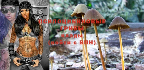 таблы Гусев