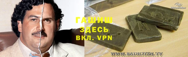 таблы Гусев