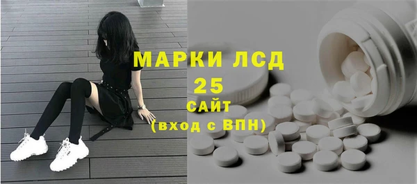 таблы Гусев