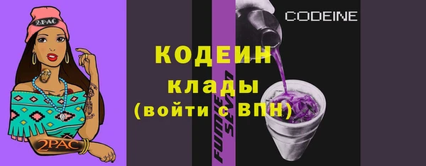 таблы Гусев
