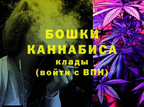 таблы Гусев