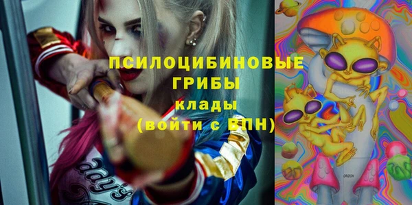 спиды Гусь-Хрустальный