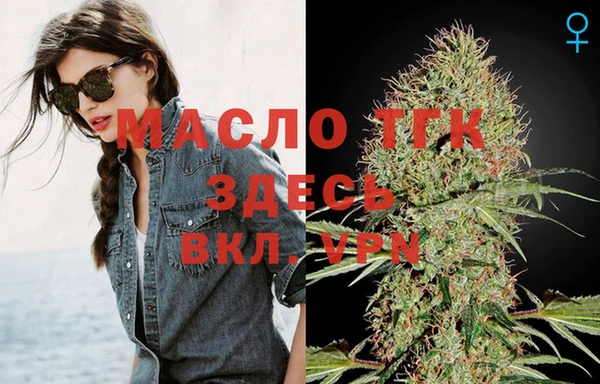 таблы Гусев